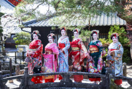 Japan_Sakura_2025 (44/79)